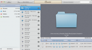 Folderscherm, gemini